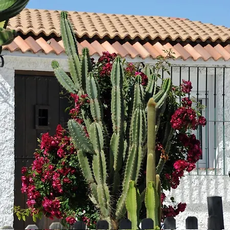 Cortijo Flamingos Apartment Chiclana de la Frontera Exterior photo