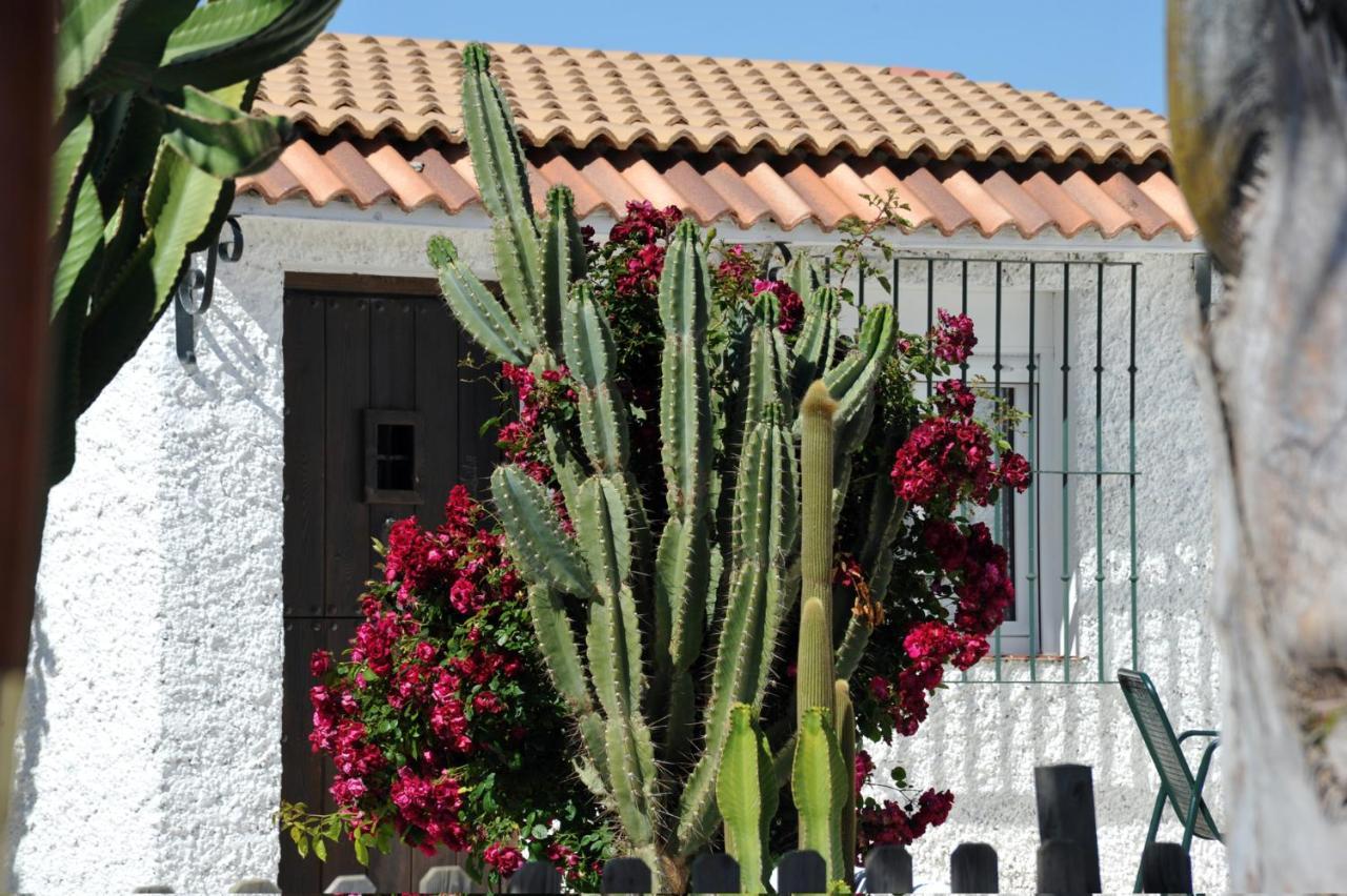 Apartment Cortijo Flamingos Chiclana de la Frontera
